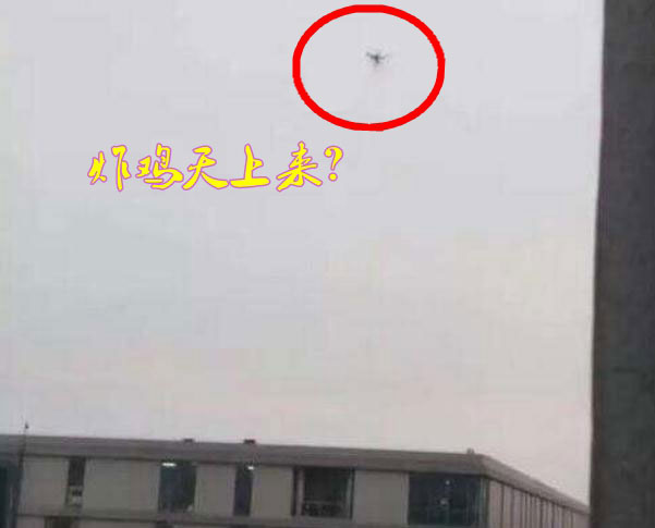 炸雞天上來，可知「炸機」危害性？